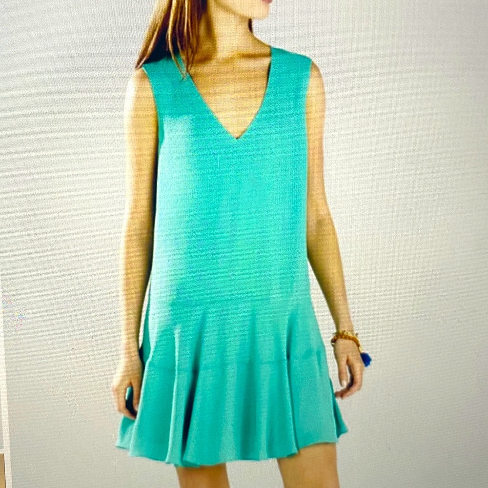 Bcbgmaxazria Clea A-Line Flounce Chiffon Dress Sz M